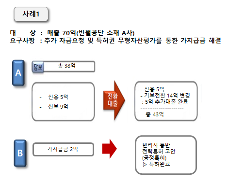 가지급금 해결과 추가자금 문제